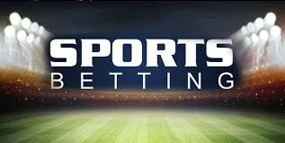 Discovering the Excitement of 2x Sport A New Era in Athletic Competition Discovering the Excitement of 2x Sport A New Era in Athletic Competition